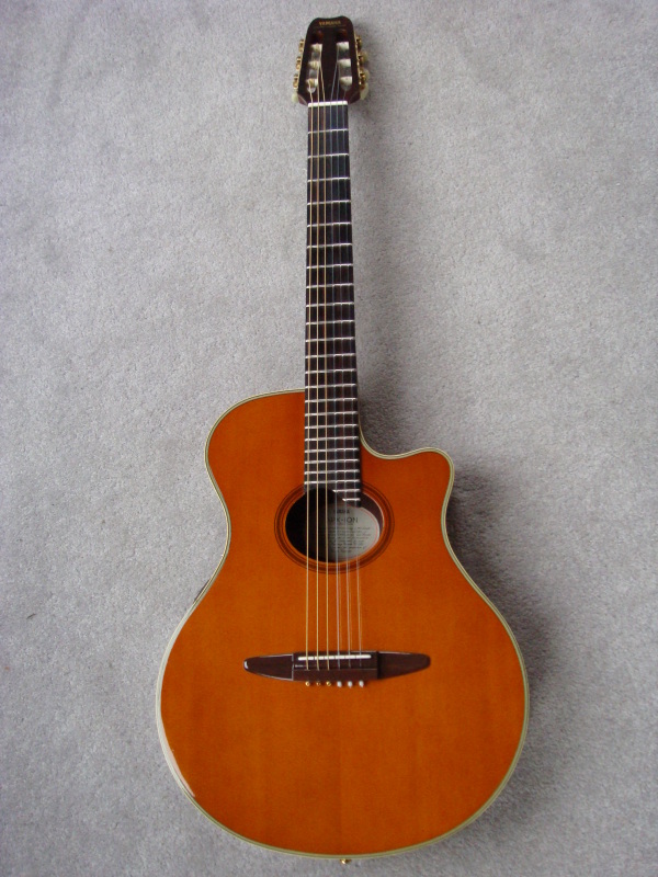 Yamaha APX-10N - www.GuitarHalo.com