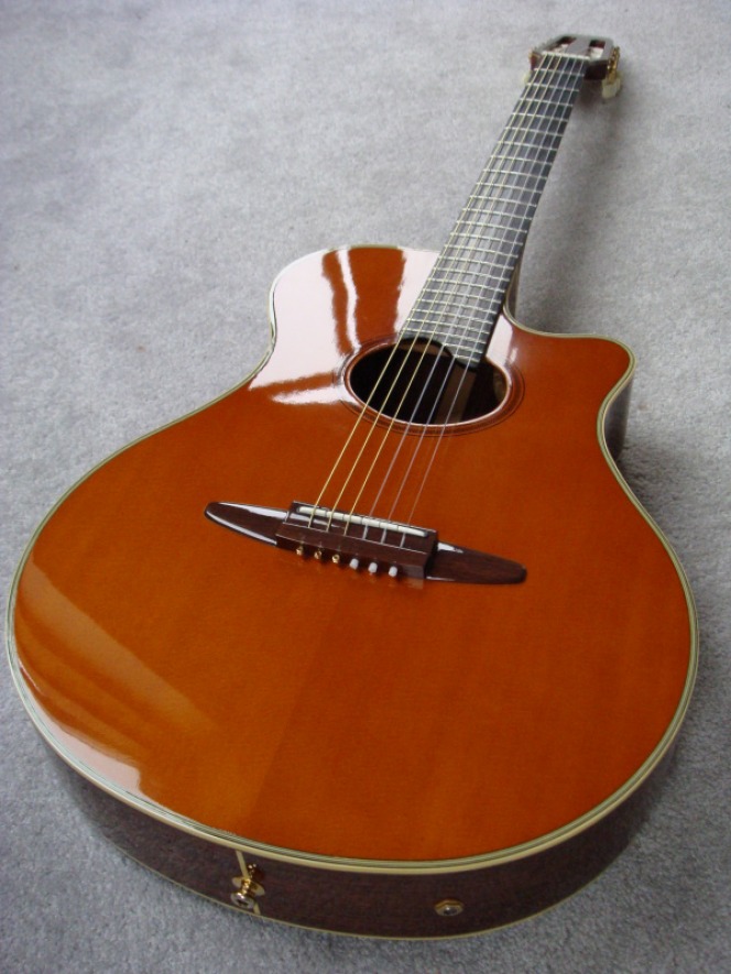 Yamaha APX-10N - www.GuitarHalo.com